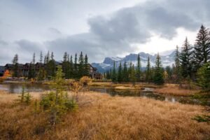 Small water body with brown grass and evergreen trees near buildings and snowy mountains.
