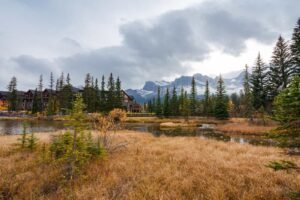 Small lake with evergreen trees, dry grass, buildings, and snow-capped mountains under cloudy sky.