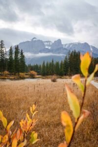 Mountainous landscape with evergreen trees, dry grass, yellow-orange leaves, and a path.