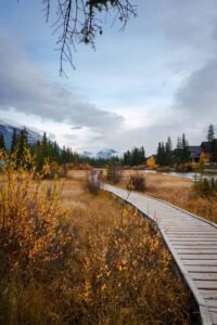 Wooden boardwalk through autumn field with trees, mountains, buildings, and a cloudy sky.