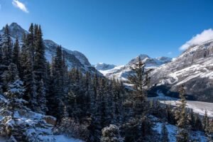 Snow-covered evergreen forest with snowy mountain peaks under a clear blue sky.