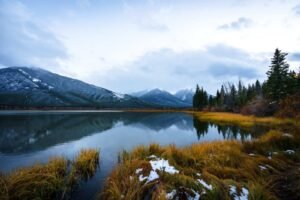 Lake with golden grass patches and snow reflecting snow-capped mountains and evergreen trees under a cloudy sky