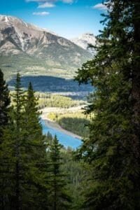 Mountain landscape with a winding blue river through evergreen forest under a bright sky.