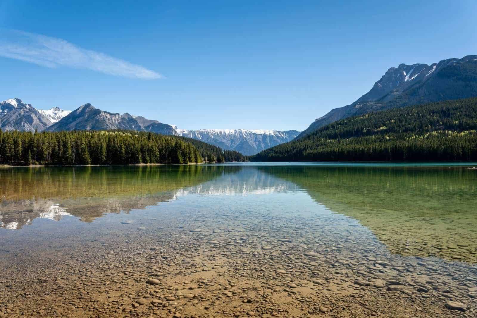 Clear lake with rocky bottom bordered by evergreen trees and snow-capped mountains under blue sky