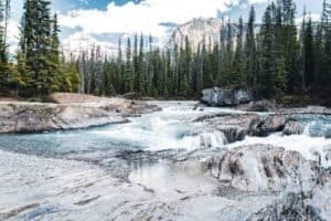 River rapids flow through rocky terrain with evergreen trees and snow-capped mountains in the background