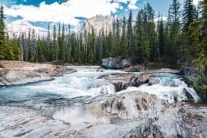 River with small waterfalls flowing through rocks surrounded by evergreen trees and snow-capped mountains.
