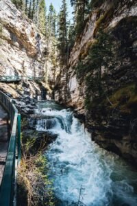 River with rapids flows through rocky canyon with evergreen trees and metal railing walkway.