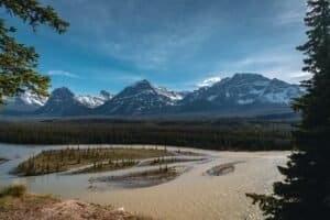 River bends around a small island with sparse trees, snow-capped mountains, and forest under blue sky.