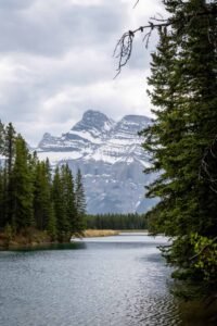 River bordered by evergreen trees with a snow-capped mountain and cloudy sky in the background