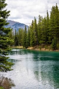 Turquoise river beside evergreen forest with mountains in the background under cloudy sky