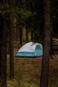 Blue and white tent set up in a forested area with trees and a picnic table nearby.