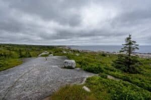 Rocky coastal area with evergreen trees and green vegetation under cloudy sky by calm water.