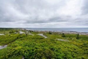 Coastal scene with green shrubs, rocky shoreline, calm sea, and cloudy sky.