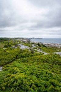 Coastal view with green shrubs, rocky shoreline, ocean, and overcast sky.