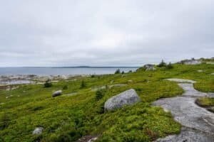 Coastal landscape with green vegetation, scattered rocks, stone path, rocky shore, and calm water.