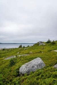 Green hillside with rocks and evergreen trees by a calm coastal body of water under cloudy sky