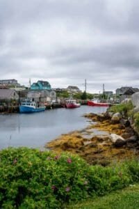 Fishing boats docked at a small harbor with wooden buildings, rocky shore, and flowering bushes.