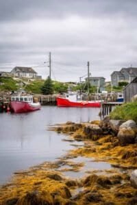 Harbor with two red fishing boats docked near rocky shore with yellow-brown seaweed and houses.