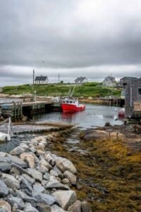 Small harbor with dock, red fishing boat, rocky shore, seaweed, and houses on grassy hill.