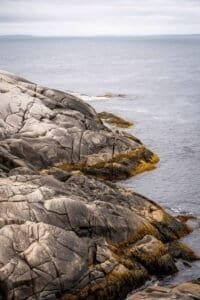 Rocky shoreline with yellowish-brown seaweed extending into calm water under overcast sky.