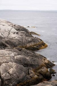 Rocky coastline with cracked gray rocks and brown seaweed beside calm ocean water.