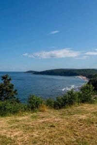 Coastal landscape with forested peninsula and calm ocean Coastal view with grassy foreground, green bushes, forested peninsula, ocean, and blue sky.