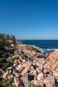Rocky Coastline with Trees and Ocean Waves Rocky coastline with trees and greenery beside blue ocean under clear sky.