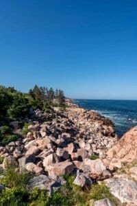 Rocky Coastline with Calm Ocean and Green Vegetation Rocky coastline with large boulders, green trees, and calm ocean under a clear blue sky.