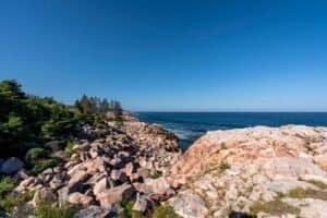 Rocky Coastline with Evergreen Trees and Blue Ocean Rocky coastline with evergreen trees beside the ocean under a clear blue sky.