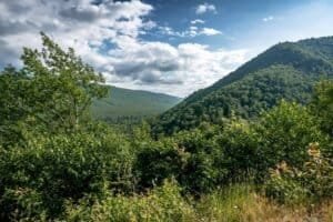 Forested Hills Under Partly Cloudy Sky Forest-covered hills under partly cloudy sky with green trees in the foreground.