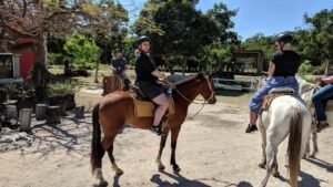 People wearing helmets riding horses outdoors on a sunny day with dogs resting nearby.